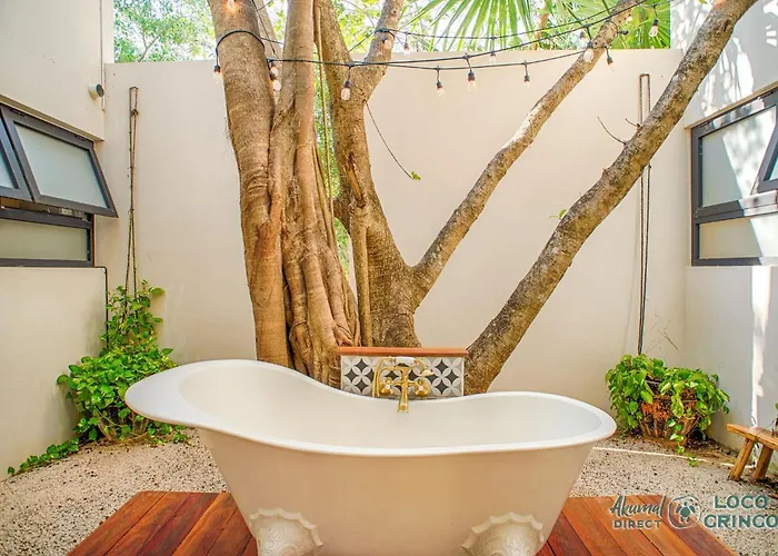 Chic Retreat Puerto Aventuras